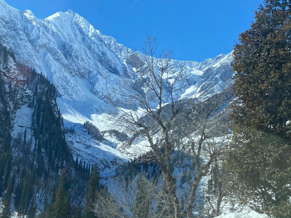 Solang Valley Resort Manāli Buitenkant foto