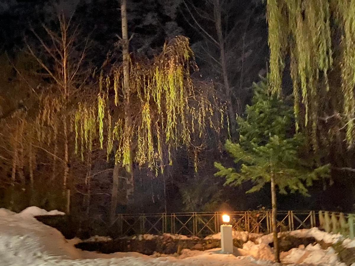 Solang Valley Resort Manāli Buitenkant foto