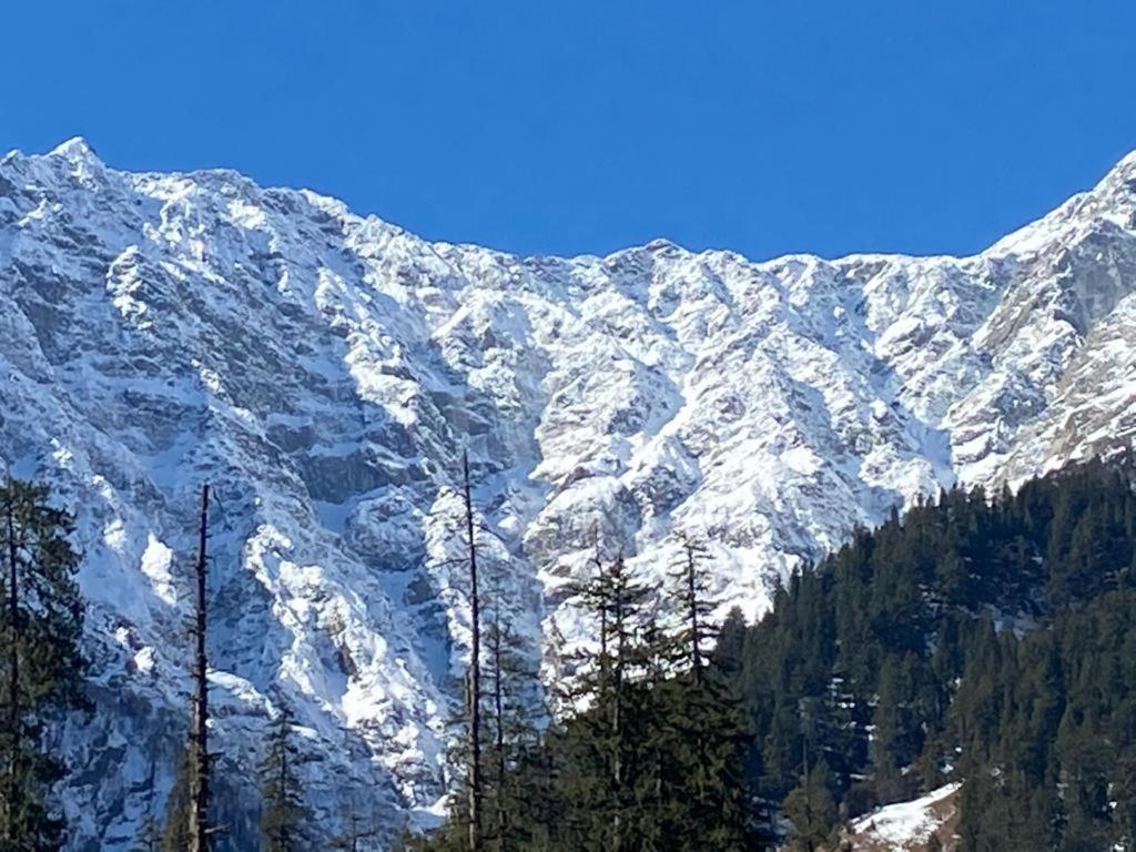 Solang Valley Resort Manāli Buitenkant foto