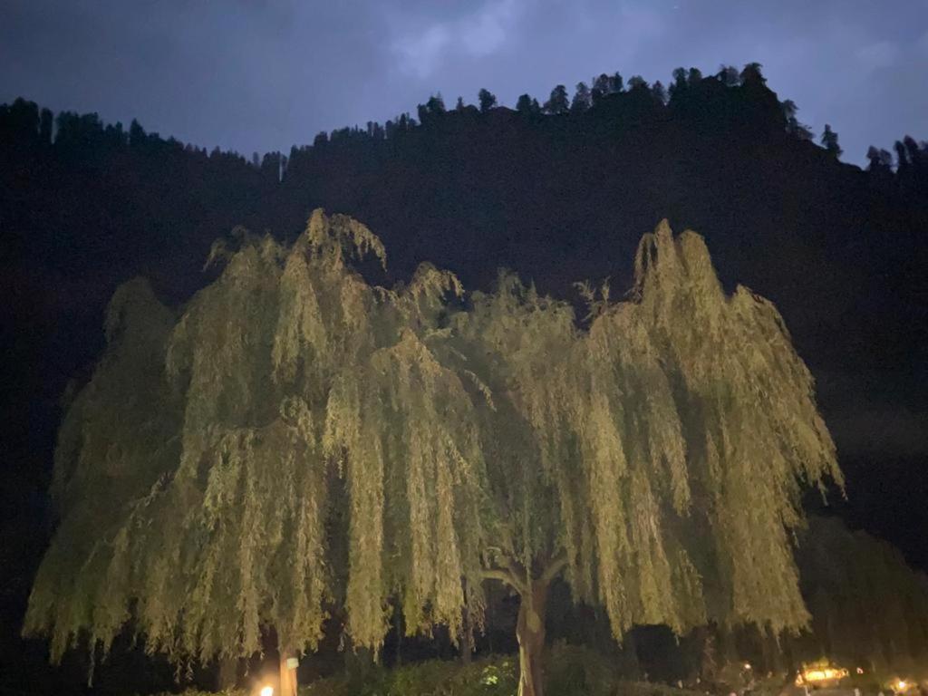 Solang Valley Resort Manāli Buitenkant foto