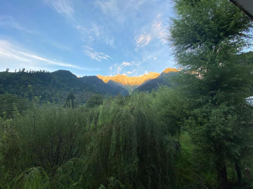Solang Valley Resort Manāli Buitenkant foto